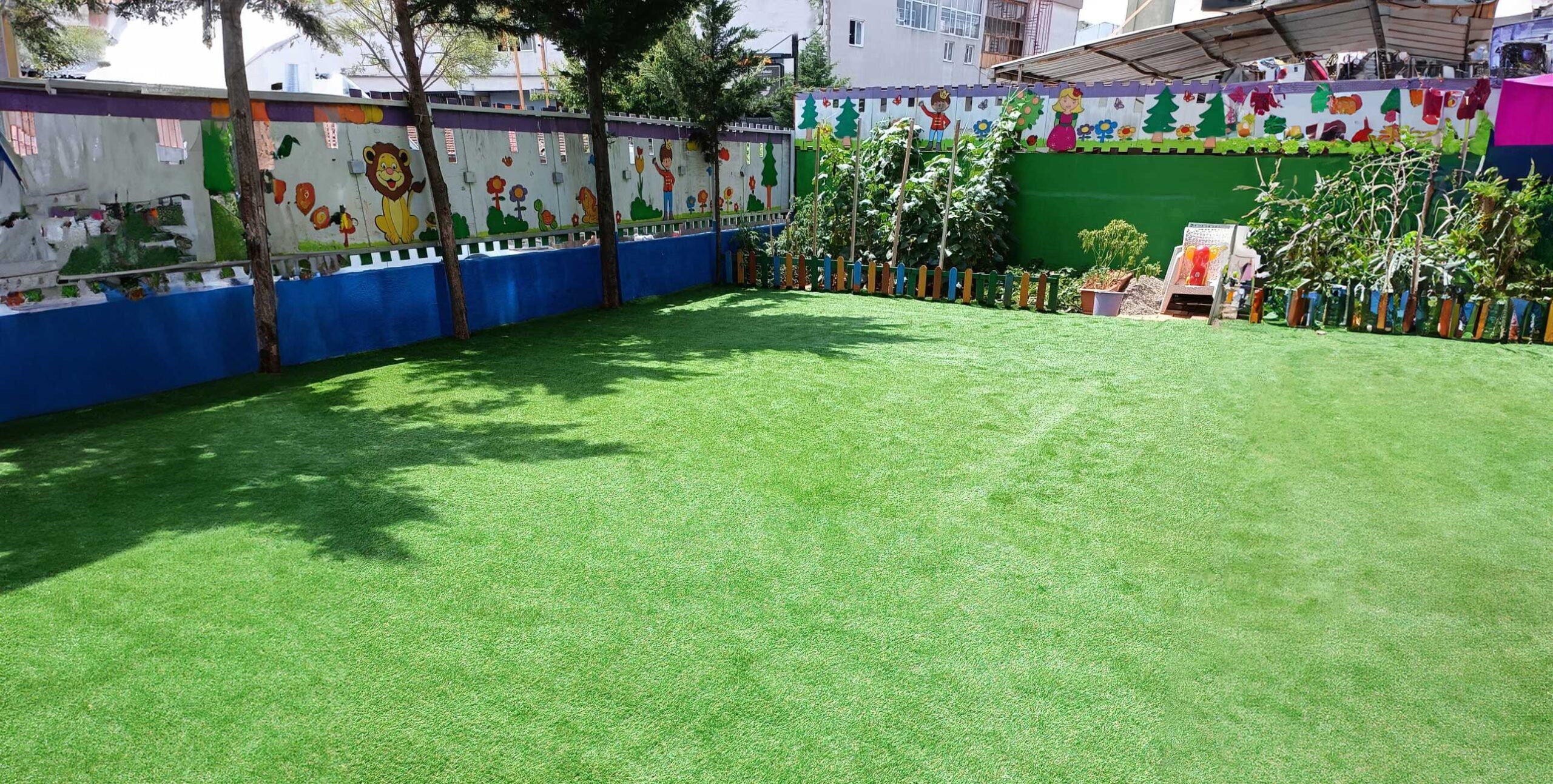 cim-hali-11jpg-scaled